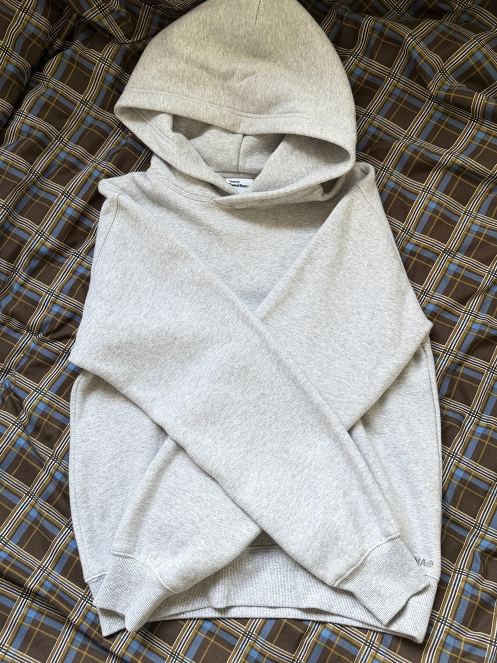 Aritzia Cozy Sweatfleece Perfect Hoodie